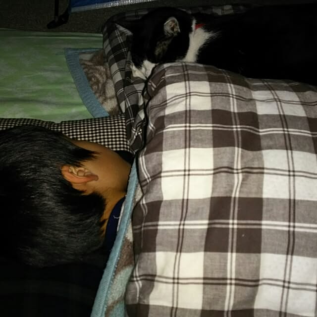 oliveさんの実例写真