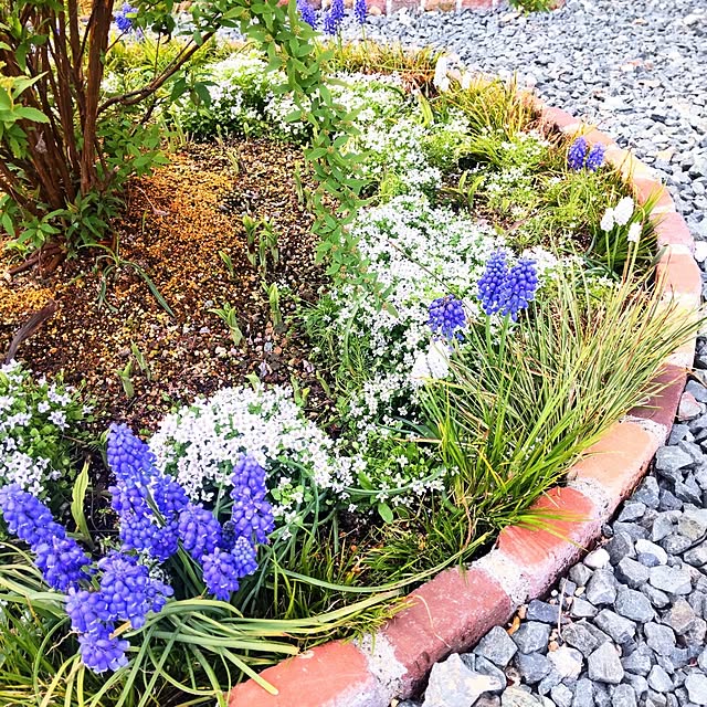 NSDさんの実例写真