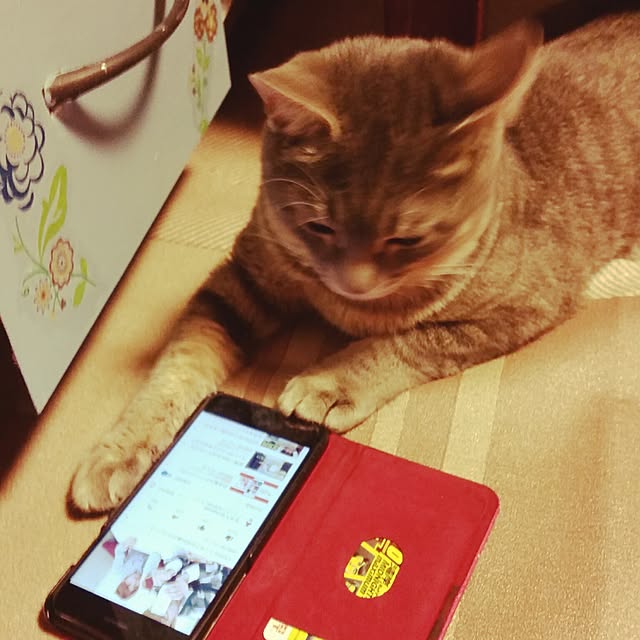 oyumiさんの実例写真