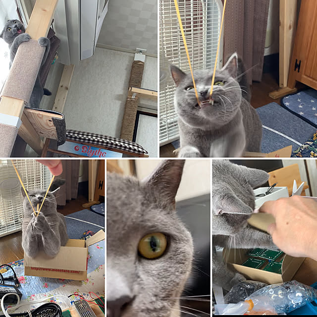 masaさんの実例写真