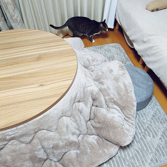 nachiさんの実例写真
