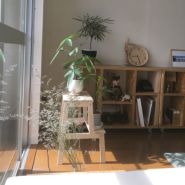 観葉植物/リビングのインテリア実例 - 2019-06-12 07:03:32