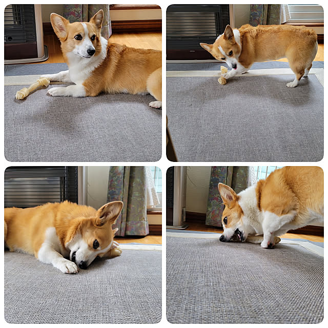 akimameさんの実例写真