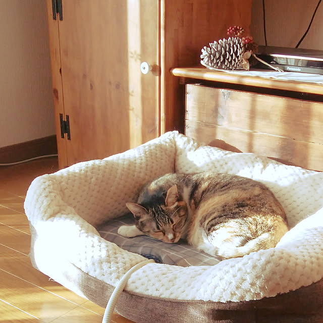 tomo1220さんの実例写真