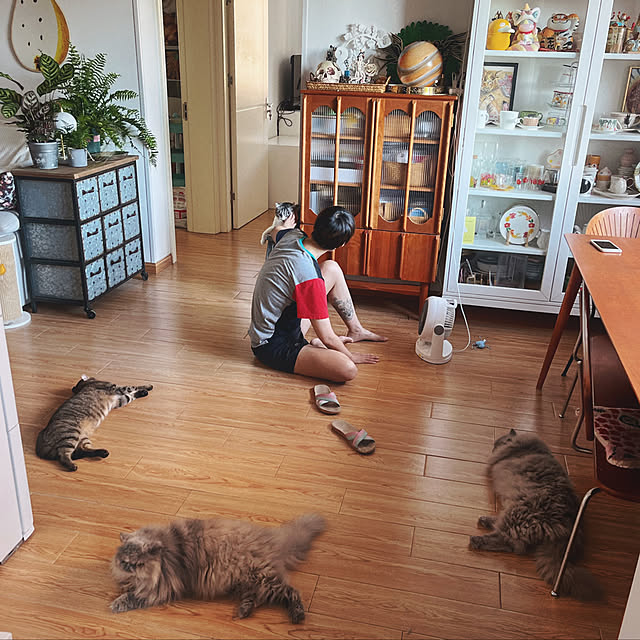 Allen0509さんの実例写真