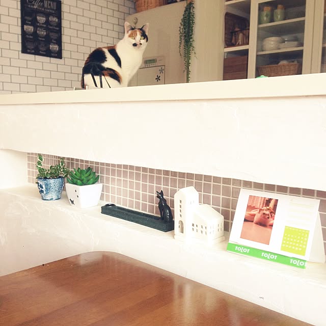 Kinanさんの実例写真