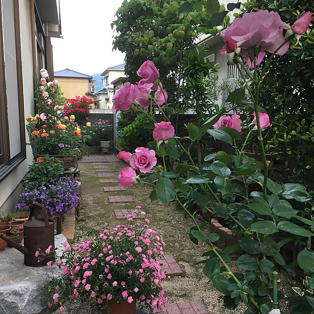 naonaomamさんの実例写真