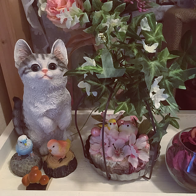 shigetanさんの実例写真