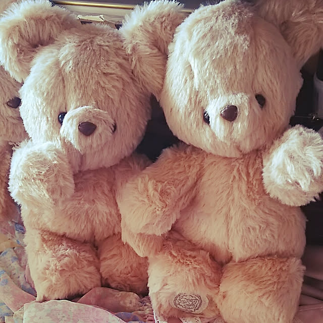 sunflowerさんの実例写真