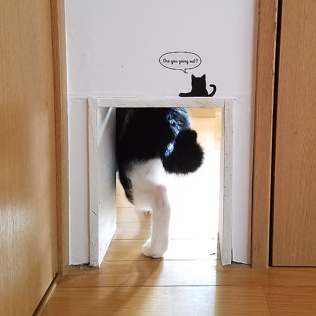 Kinanさんの実例写真