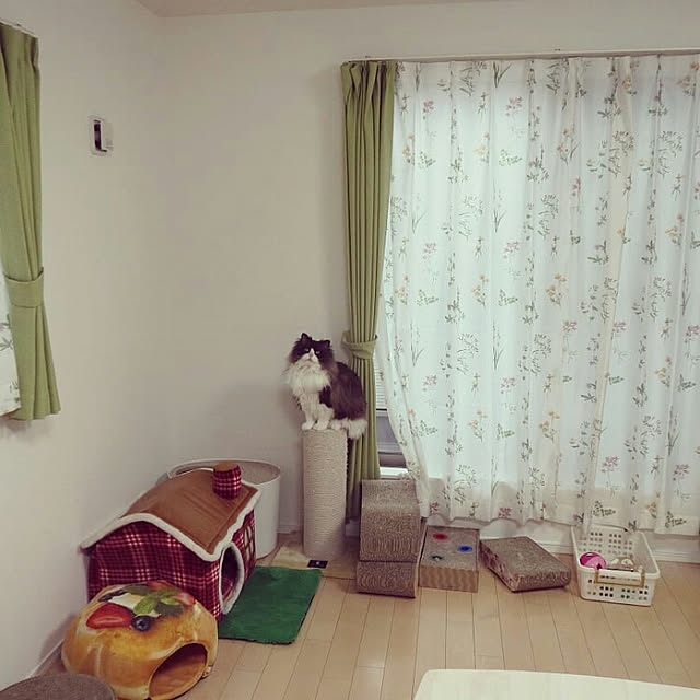 実例写真