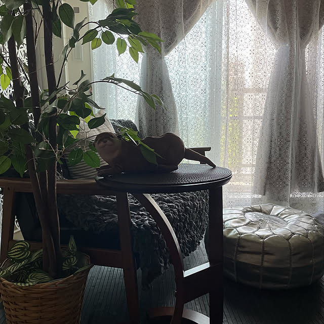 aureaさんの実例写真