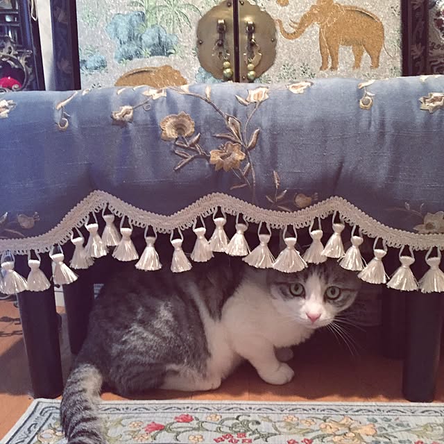emmyyさんの実例写真