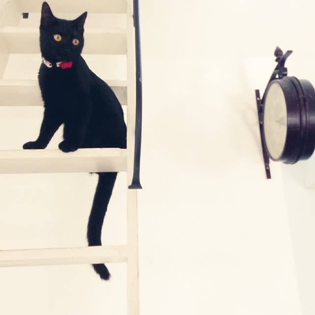 tuyuさんの実例写真