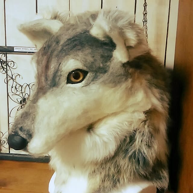 jankenkenさんの実例写真