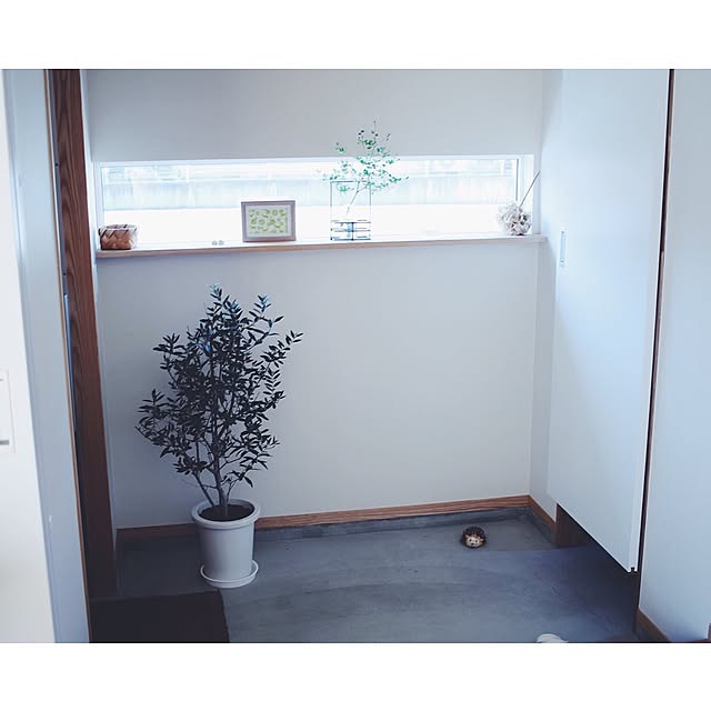 marippecoさんの実例写真