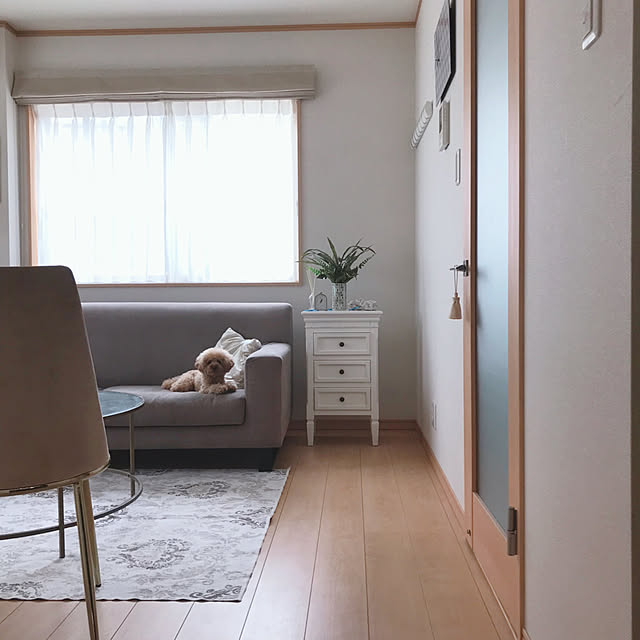Mikaさんの実例写真