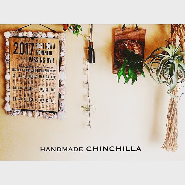 chinchilla4さんの実例写真
