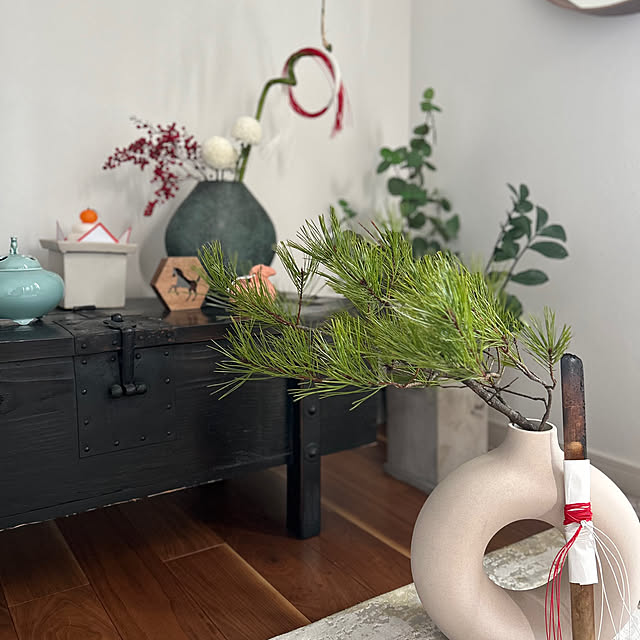 kamomeさんの実例写真