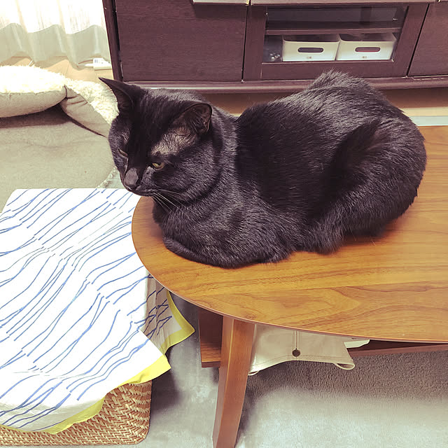 ruruteto915さんの実例写真