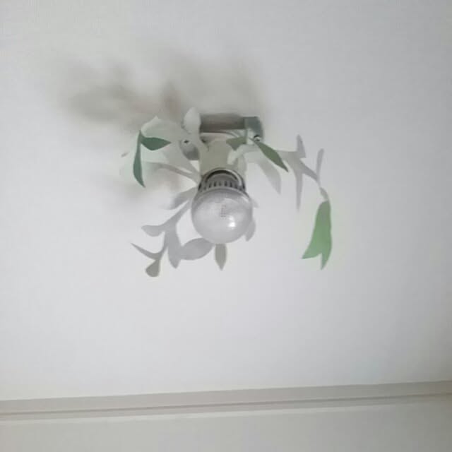 utataneさんの実例写真