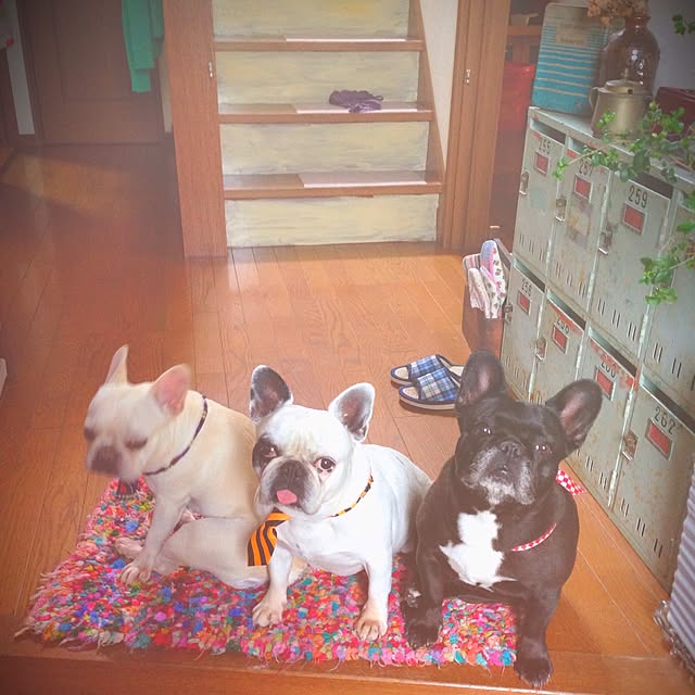 38coreさんの実例写真