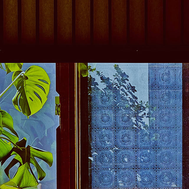 chacoさんの部屋