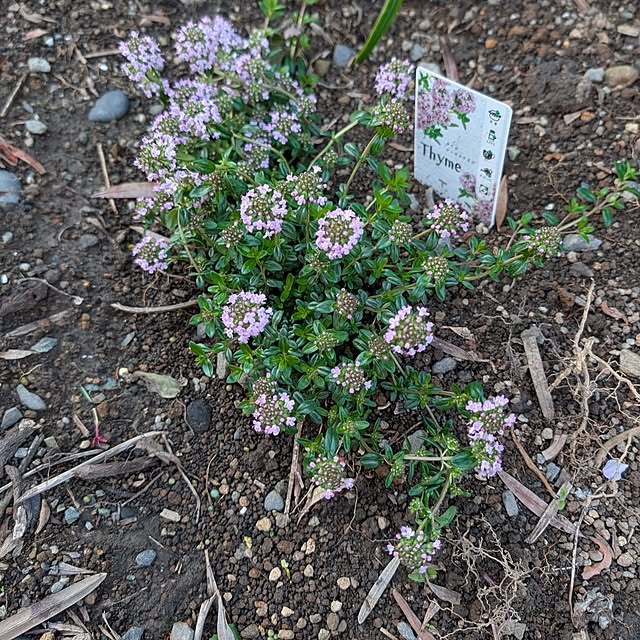 fuchan0930さんの部屋