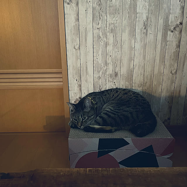 Mさんの実例写真