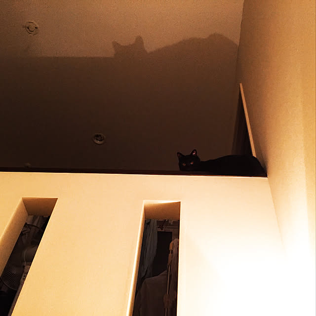 nanaさんの実例写真