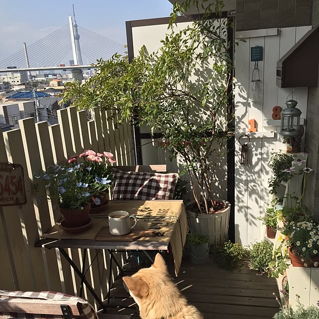 leonaさんの実例写真
