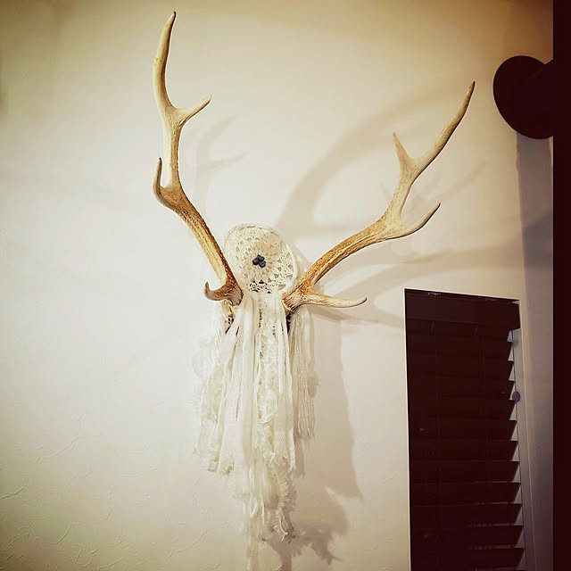 rimoleoさんの部屋