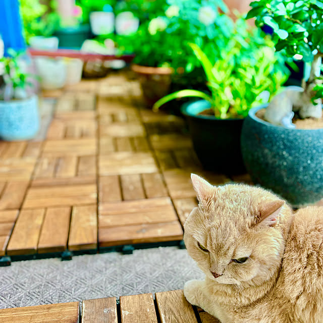 naokoさんの部屋