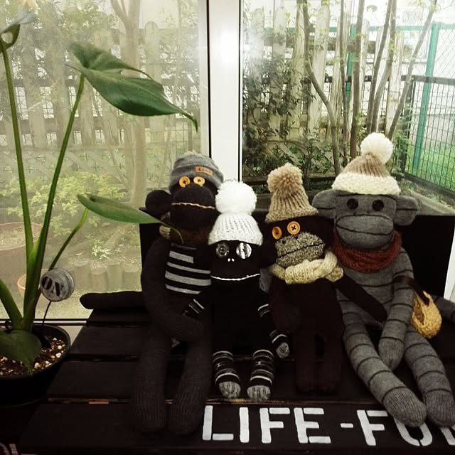 choporiさんの実例写真