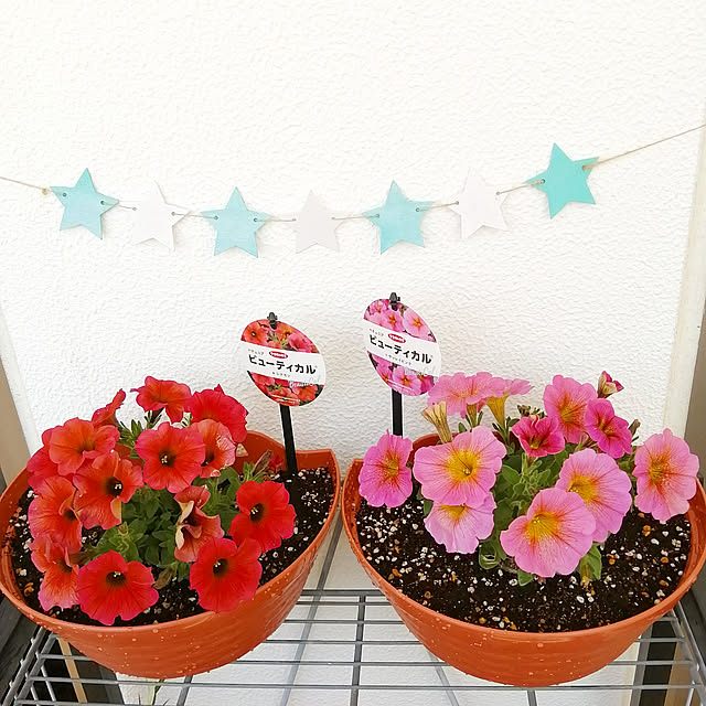 VERANDARJUNさんの実例写真