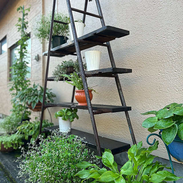 nana77さんの部屋