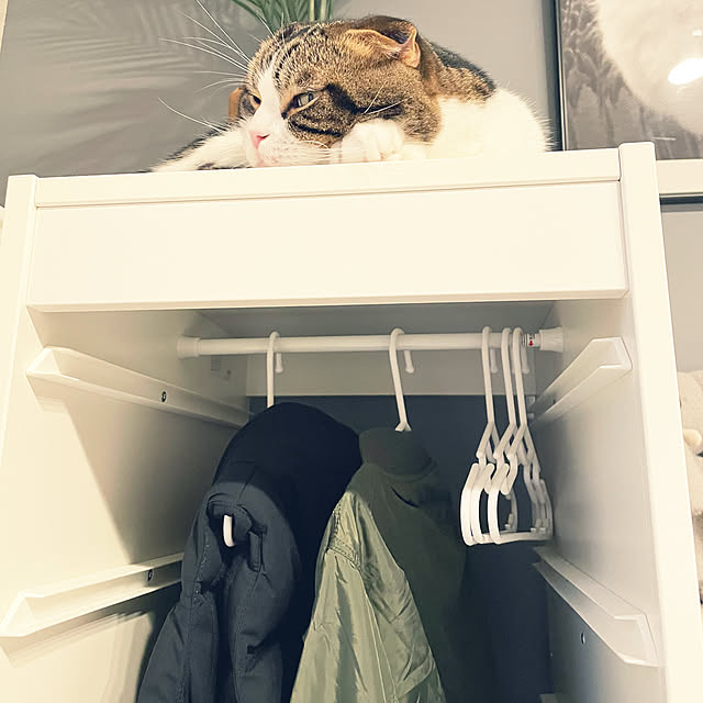 tansukeさんの部屋