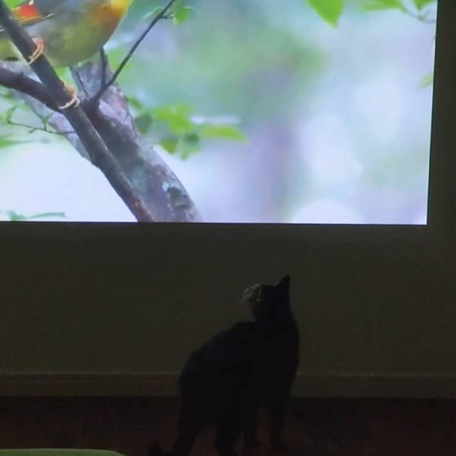 MM360さんの実例写真