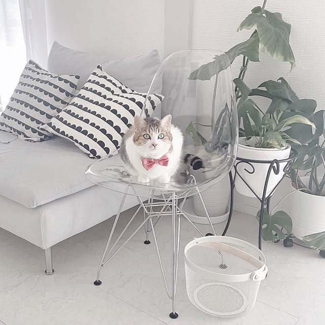 mya___kさんの実例写真