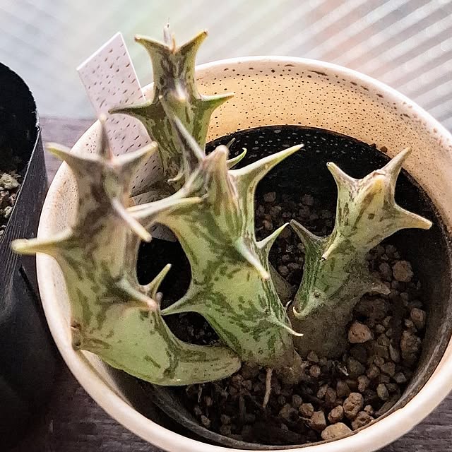 noaさんの部屋