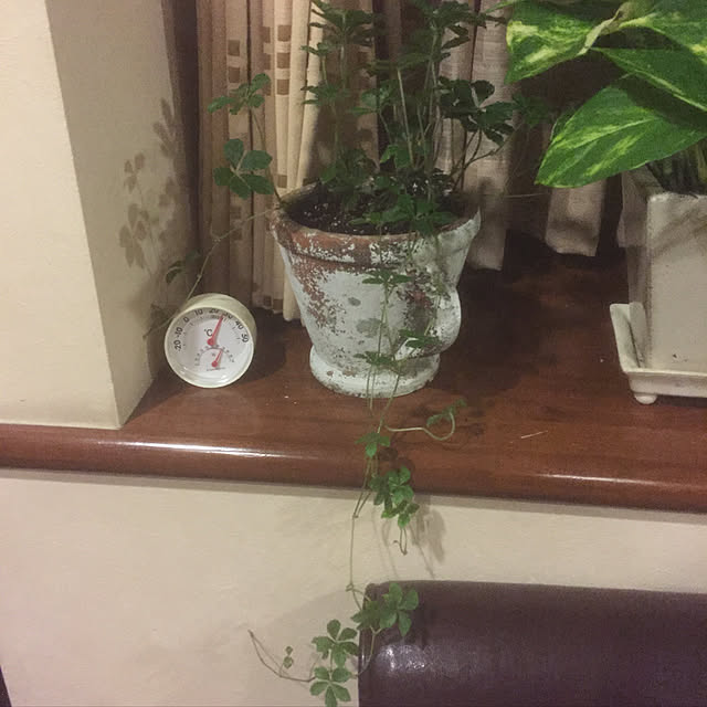 andronさんの実例写真