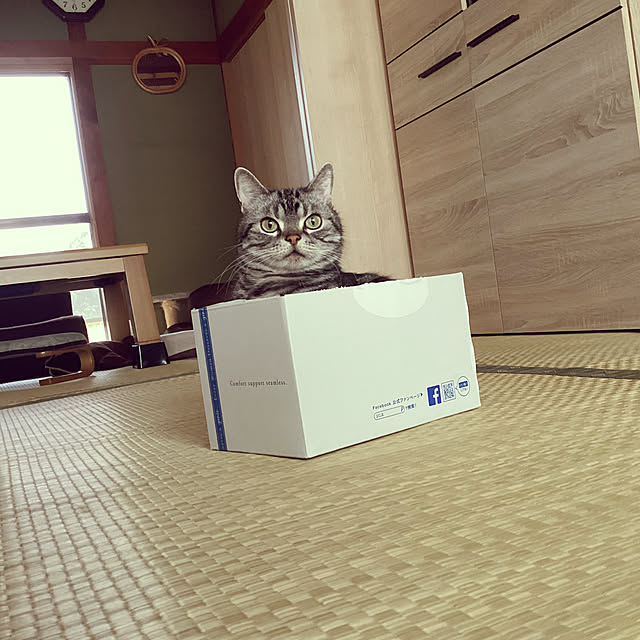 richanさんの部屋