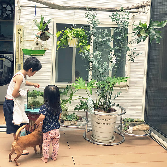 Yukoさんの実例写真