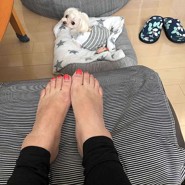 loliontoaliceveさんの実例写真