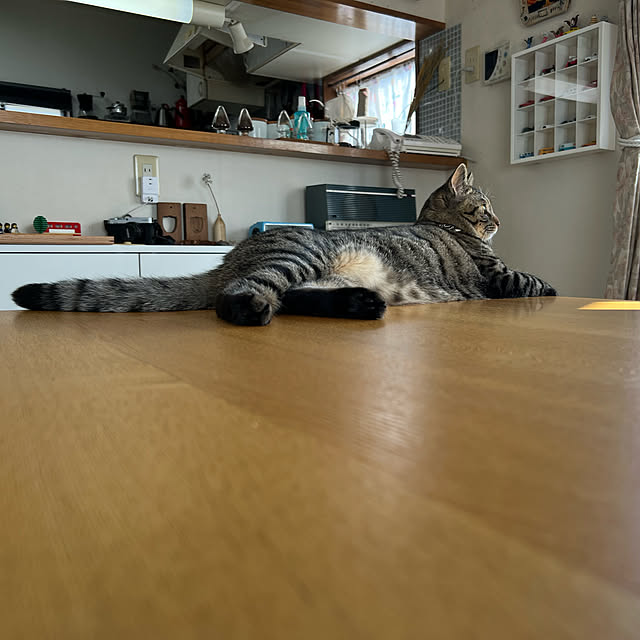 kuzumeganeさんの実例写真