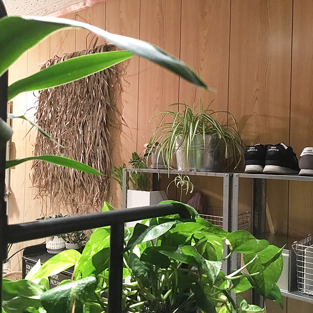 hira_muji_mihiさんの実例写真