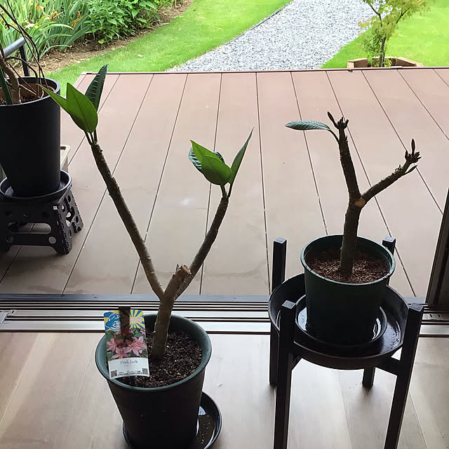 houenさんの部屋