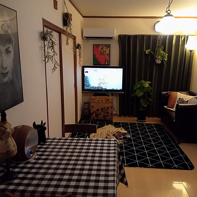 moruさんの実例写真