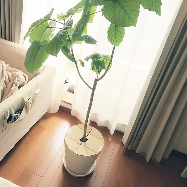 merinさんの実例写真