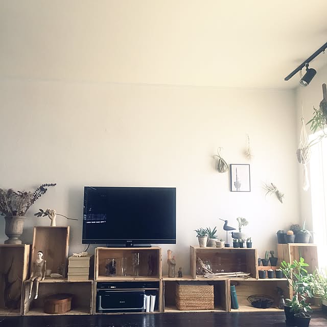 romimushiさんの実例写真